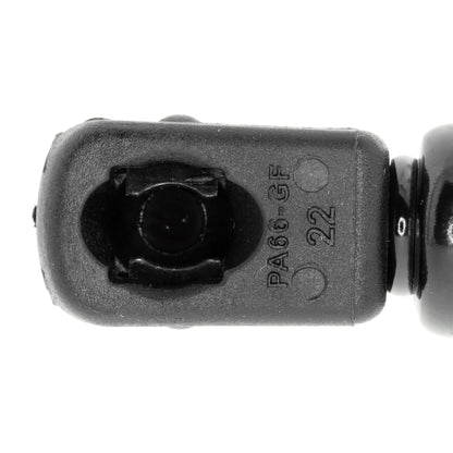 VAICO Gas Spring, boot/cargo area V10-4146