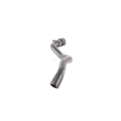 VAICO Radiator Hose V10-4268