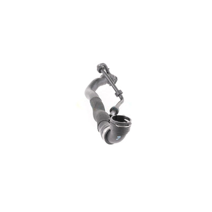VAICO Radiator Hose V10-4324