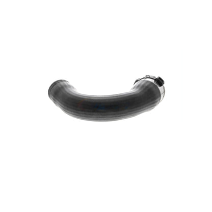 VAICO Charge Air Hose V10-4378