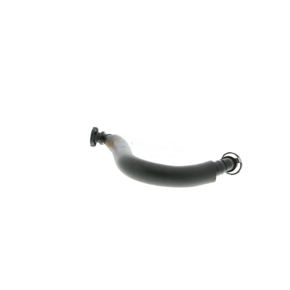 VAICO Hose, crankcase ventilation V10-4637