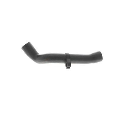 VAICO Radiator Hose V10-4667