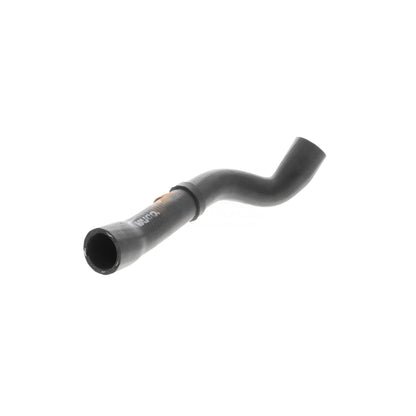 VAICO Radiator Hose V10-4667