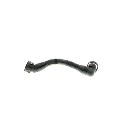 VAICO Hose, crankcase ventilation V10-4693