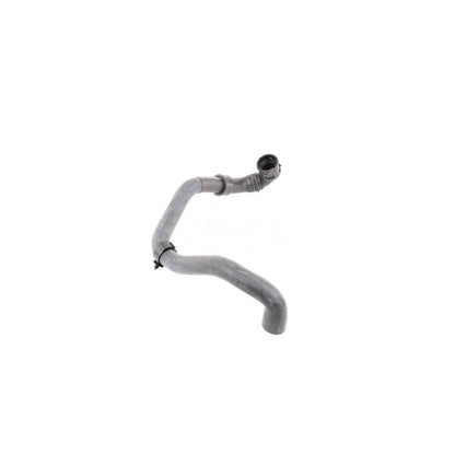VAICO Radiator Hose V10-4807