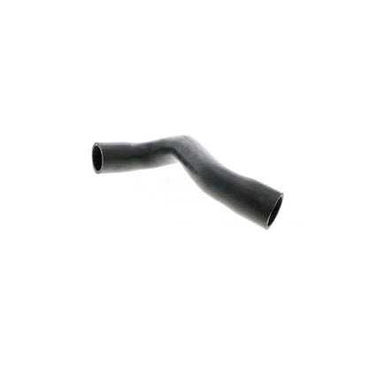 VAICO Radiator Hose V10-4815