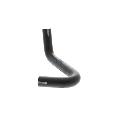 VAICO Hose, crankcase ventilation V10-4850