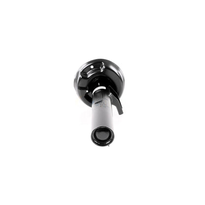 VAICO Shock Absorber V10-4955