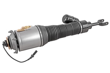 VEMO Air Suspension Strut V10-50-0019