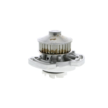 VAICO Water Pump, engine cooling V10-50008