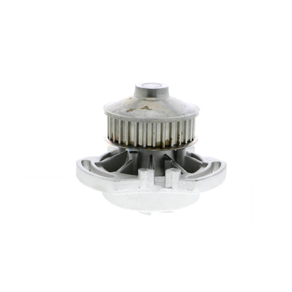 VAICO Water Pump, engine cooling V10-50008