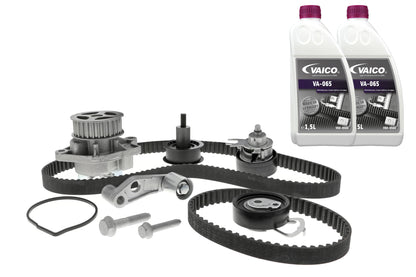 VAICO Water Pump & Timing Belt Kit V10-50109