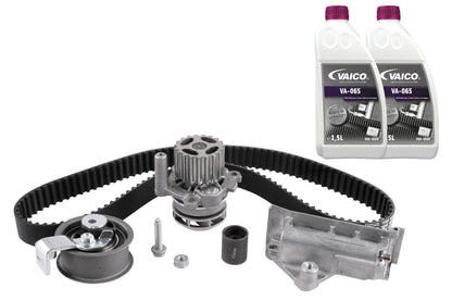 VAICO Water Pump & Timing Belt Kit V10-50110
