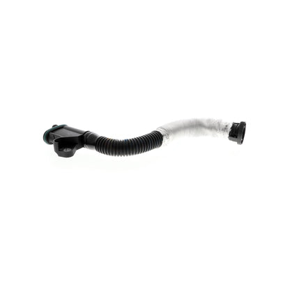 VAICO Hose, crankcase ventilation V10-5579