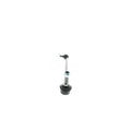 VAICO Rod/Strut, wheel suspension V10-7254