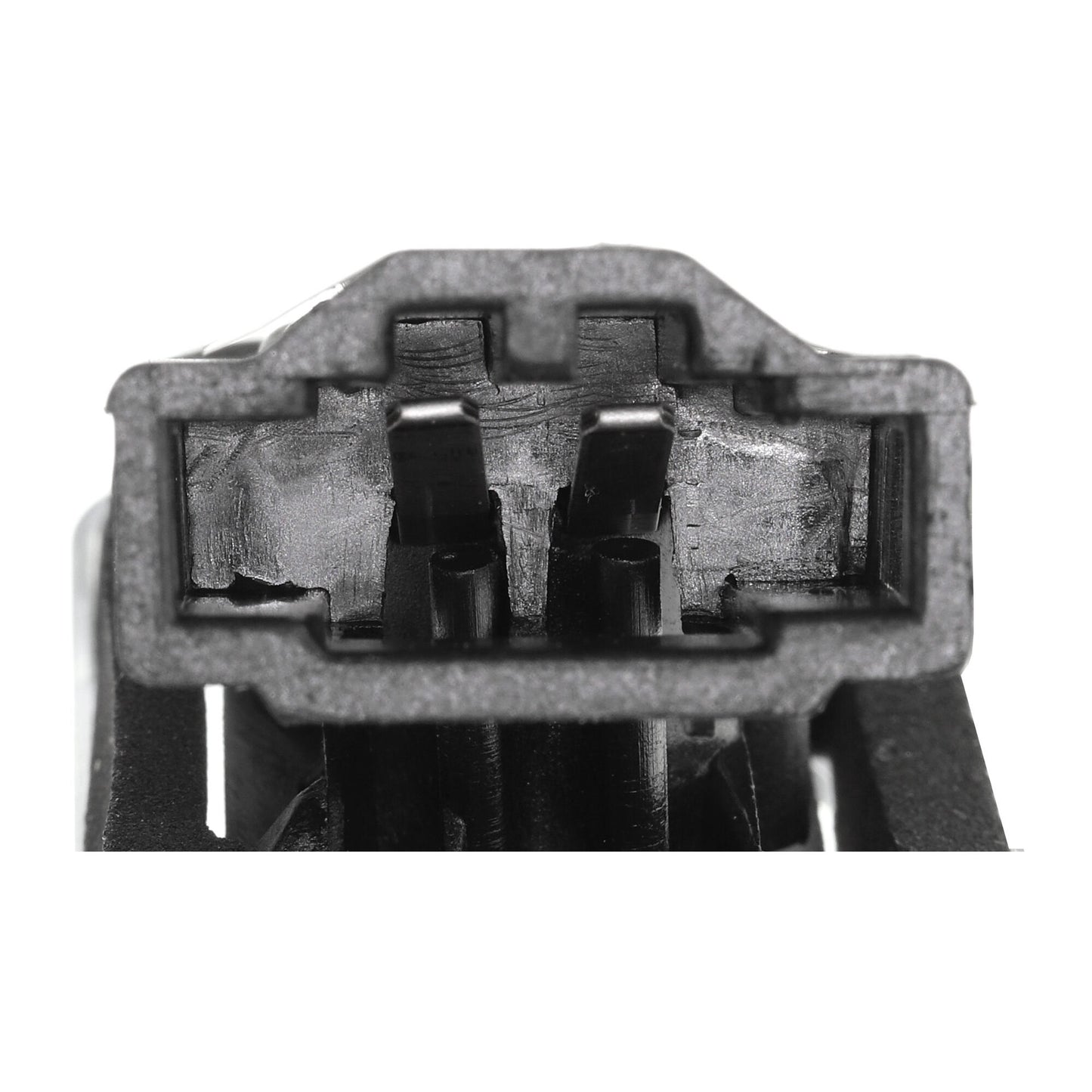 VEMO Licence Plate Light V10-84-0032