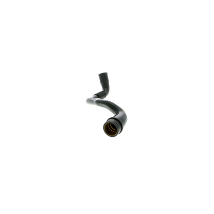 VAICO Hose, cylinder head cover ventilation V10-9768