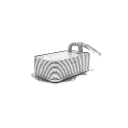 VEMO Oil Cooler, engine oil V15-60-0008