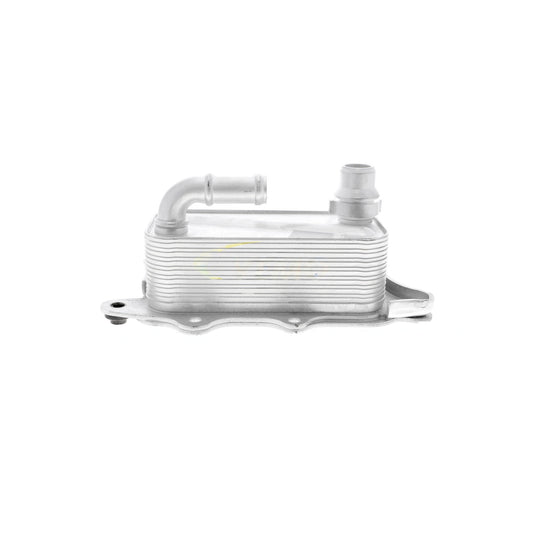 VEMO Oil Cooler, engine oil V15-60-0012