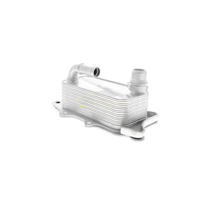 VEMO Oil Cooler, engine oil V15-60-0012
