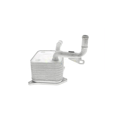 VEMO Oil Cooler, engine oil V15-60-0013