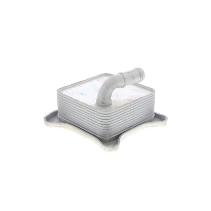 VEMO Oil Cooler, engine oil V15-60-6062
