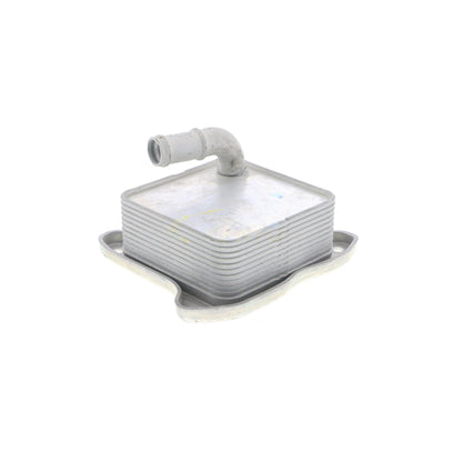 VEMO Oil Cooler, engine oil V15-60-6062