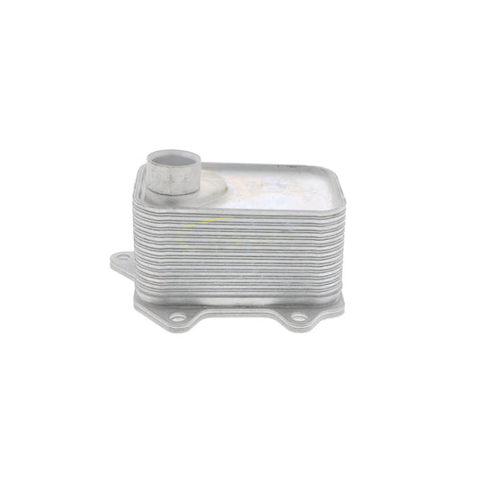 VEMO Oil Cooler, engine oil V15-60-6068