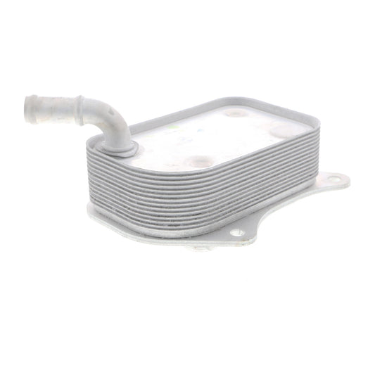 VEMO Oil Cooler, engine oil V15-60-6071