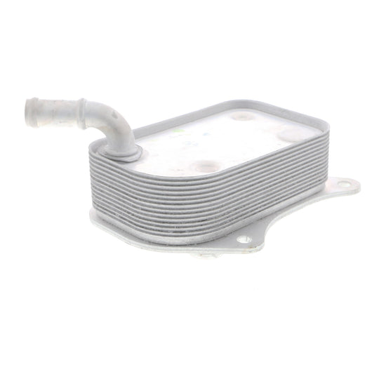VEMO Oil Cooler, engine oil V15-60-6071