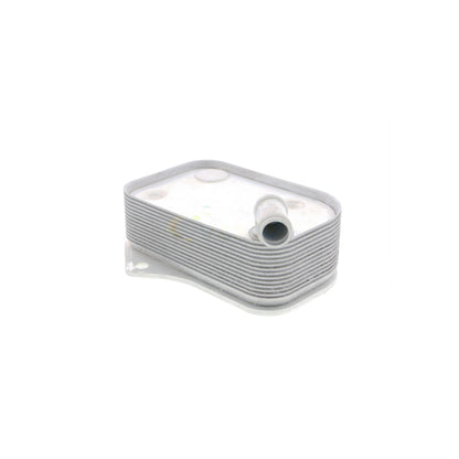 VEMO Oil Cooler, engine oil V15-60-6071