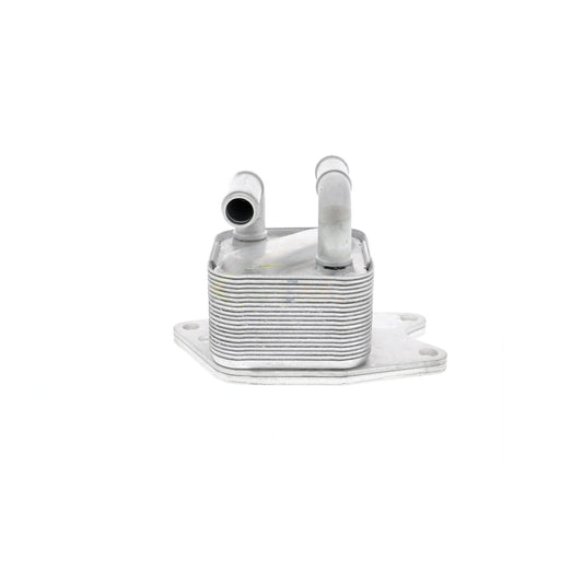 VEMO Oil Cooler, engine oil V15-60-6072