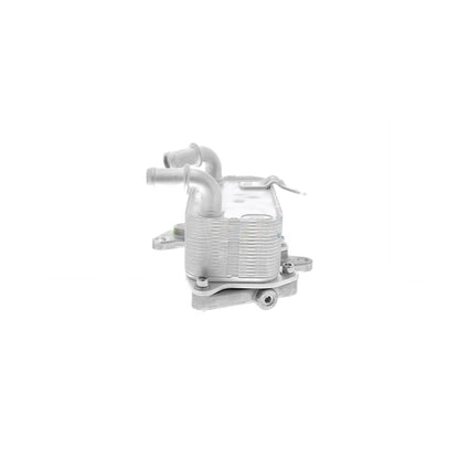 VEMO Oil Cooler, engine oil V15-60-6073