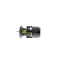 VEMO Thermostat, coolant V15-99-2019