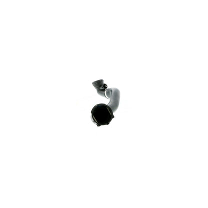 VAICO Radiator Hose V20-0869