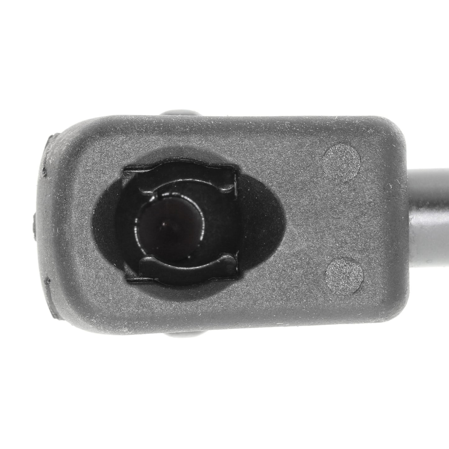 VAICO Gas Spring, boot/cargo area V20-1002