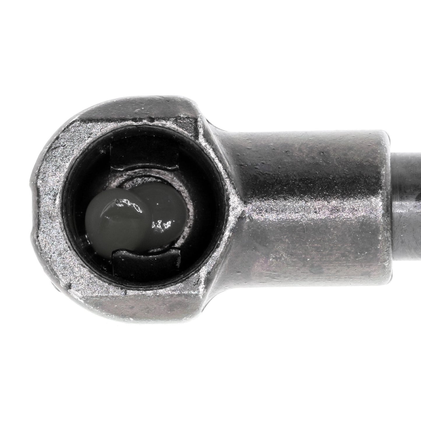 VAICO Gas Spring, boot/cargo area V20-1004