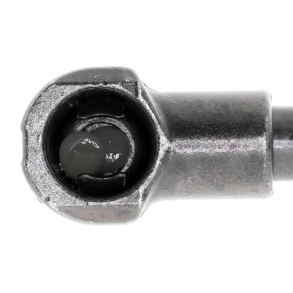 VAICO Gas Spring, boot/cargo area V20-1004