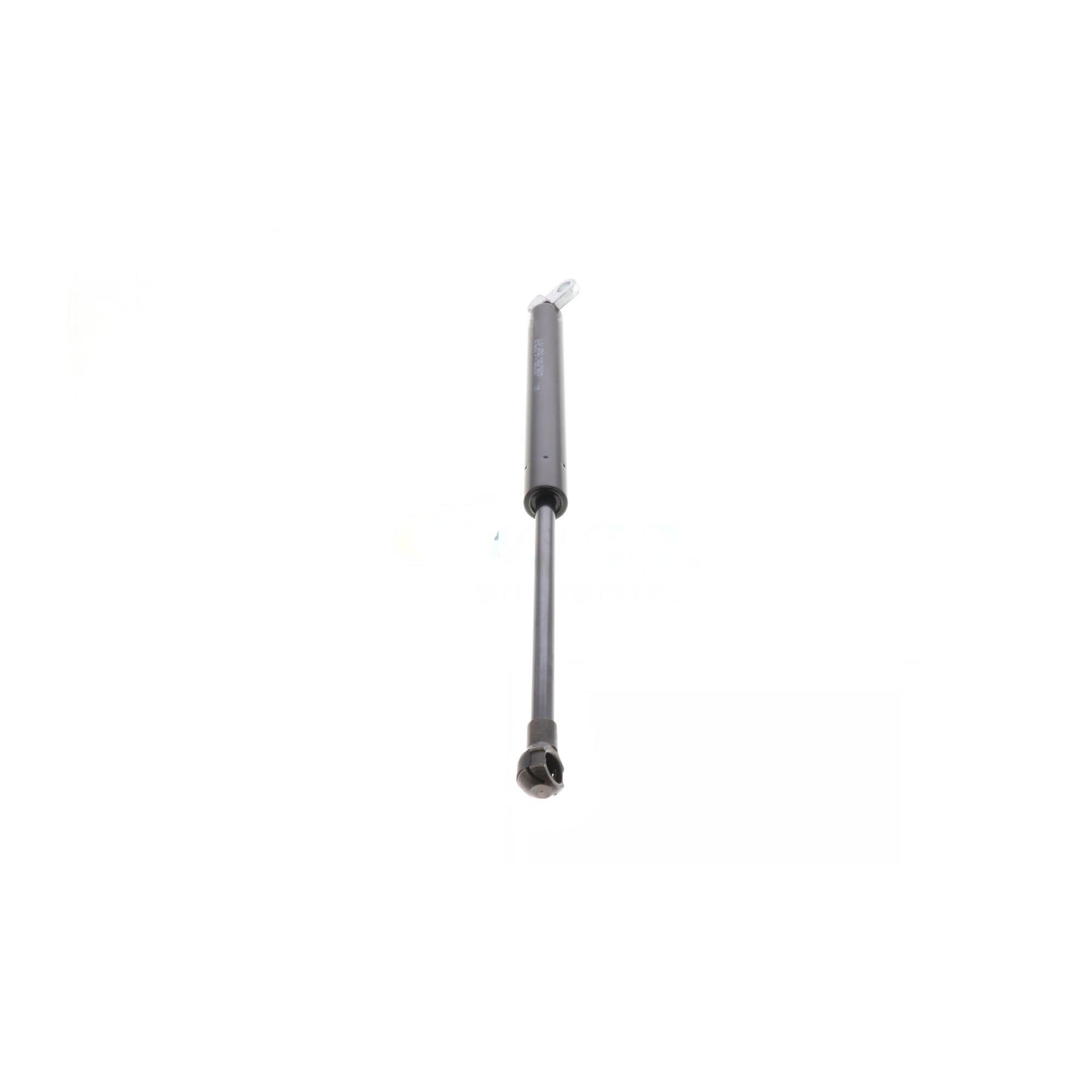 VAICO Gas Spring, boot/cargo area V20-1005