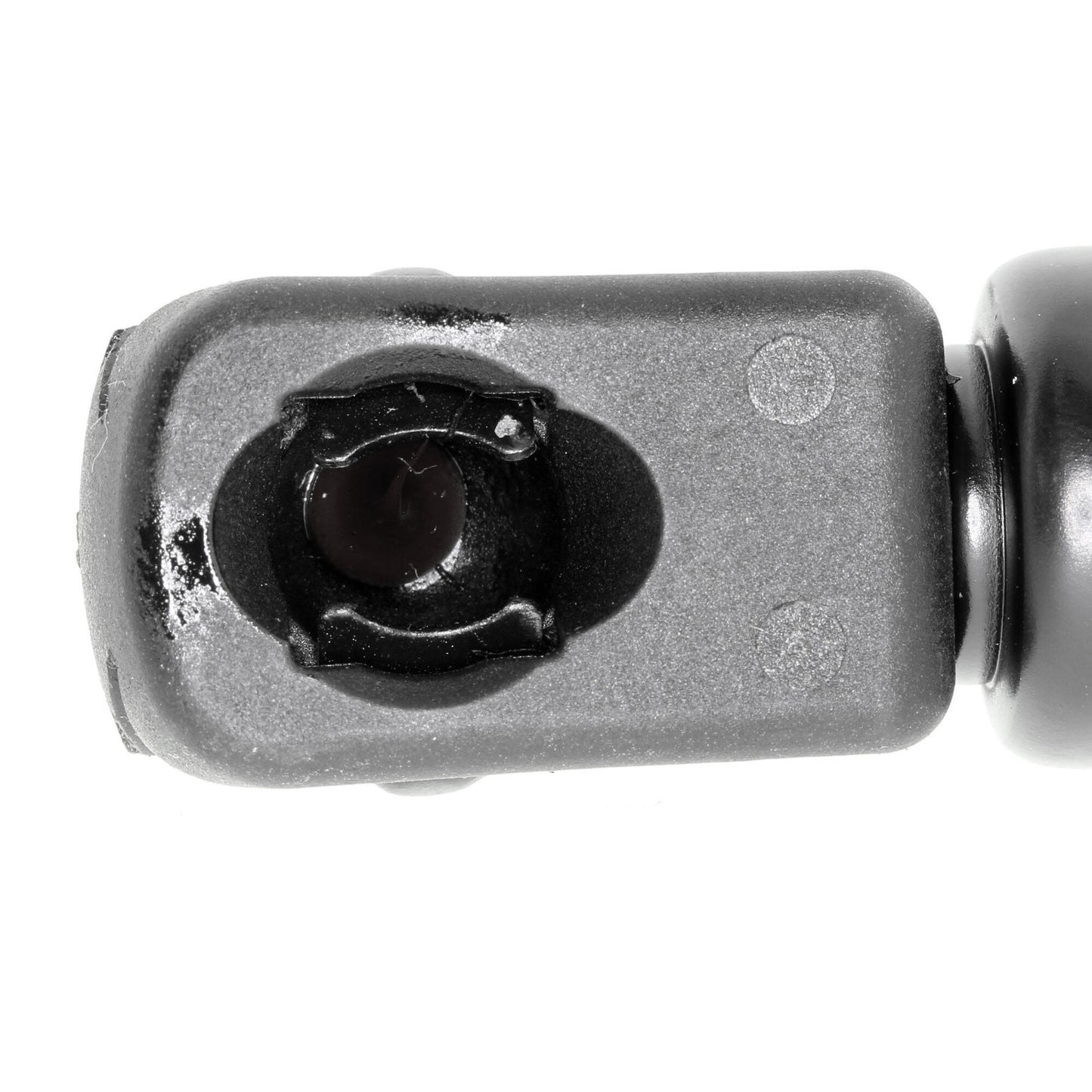 VAICO Gas Spring, boot/cargo area V20-1008