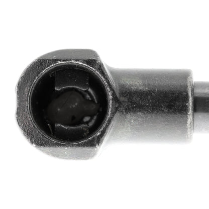 VAICO Gas Spring, boot/cargo area V20-1010