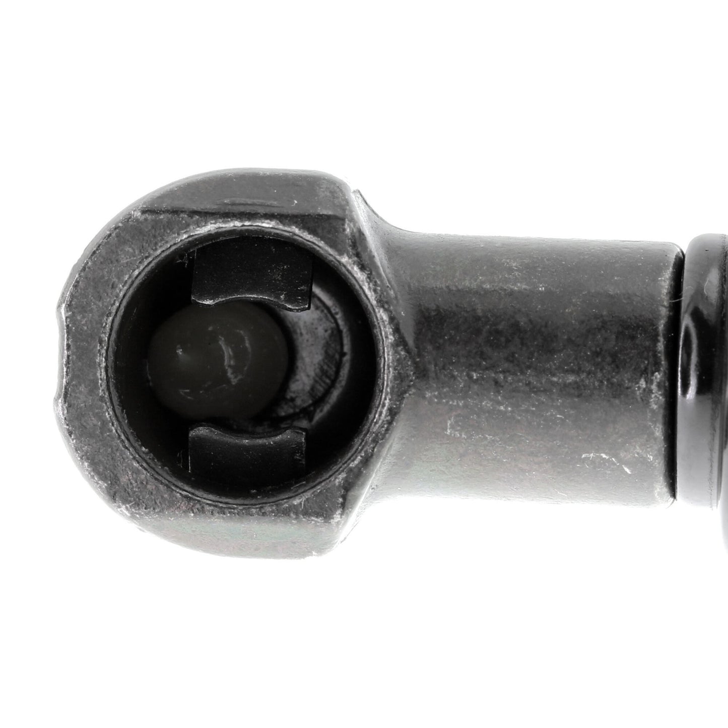 VAICO Gas Spring, boot/cargo area V20-1010