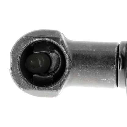 VAICO Gas Spring, boot/cargo area V20-1010