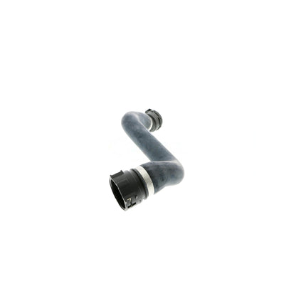 VAICO Radiator Hose V20-1336