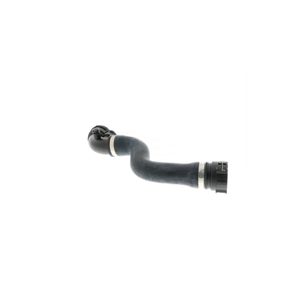 VAICO Radiator Hose V20-1462