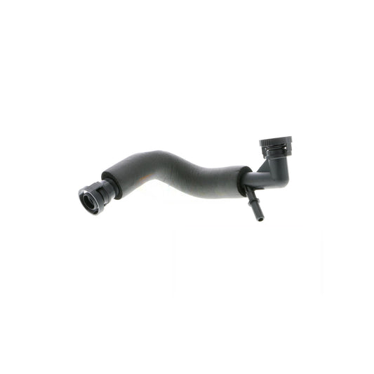 VAICO Hose, crankcase ventilation V20-1563