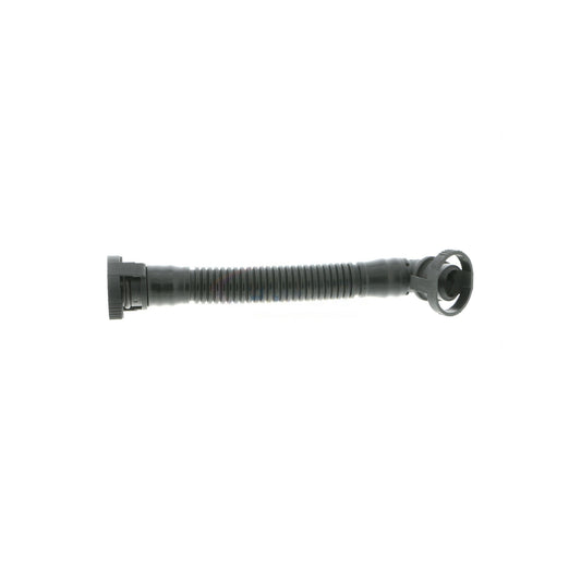 VAICO Hose, crankcase ventilation V20-1565