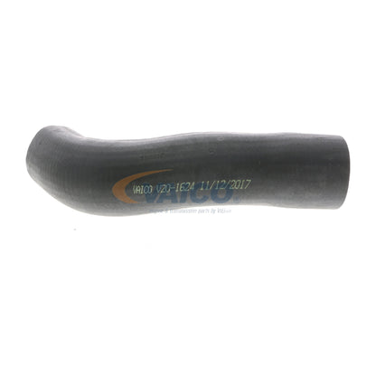 VAICO Charge Air Hose V20-1624