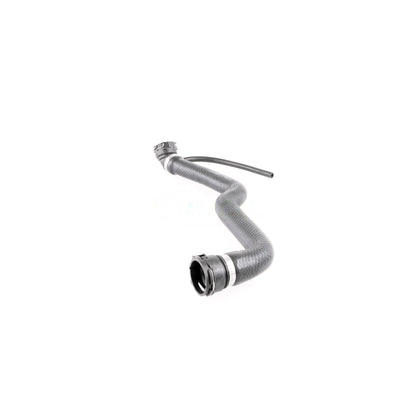 VAICO Radiator Hose V20-1662