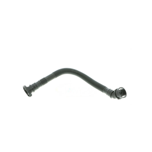 VAICO Hose, crankcase ventilation V20-1799